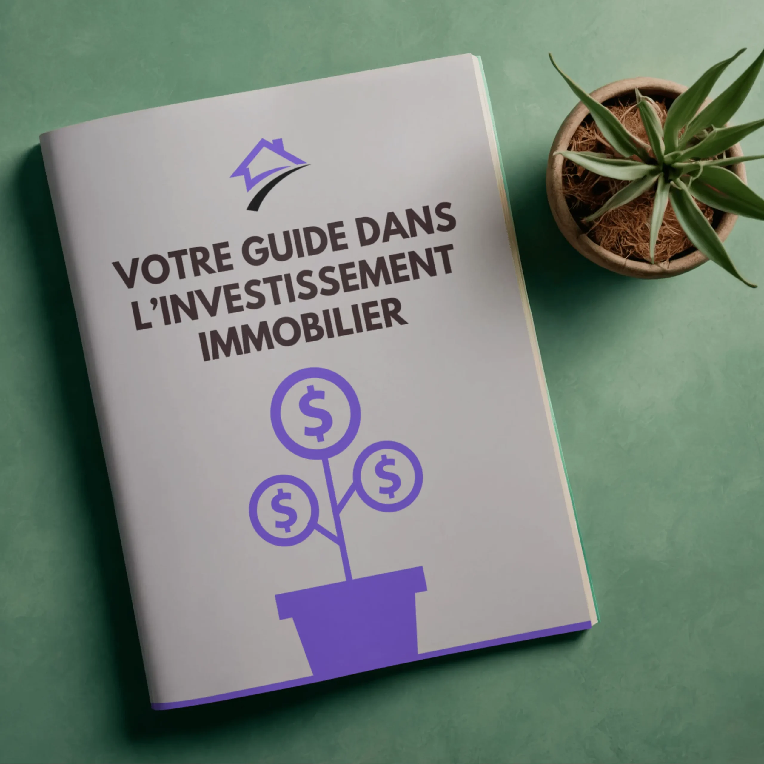guide dans l'investissement immobilier